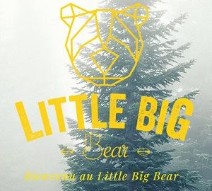 Little big bear