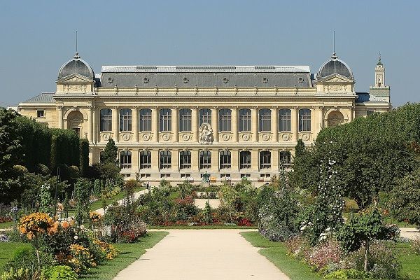Musée National d’Histoire Naturelle